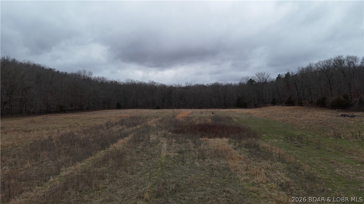 Out of Area - Land