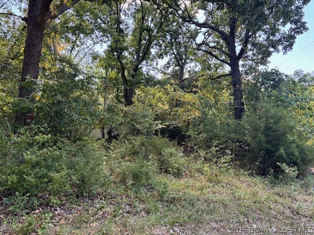 Crestwood Estates Mobile - Land