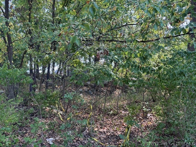 Crestwood Estates Mobile - Land