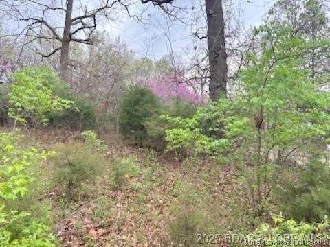 Crestwood Estates Mobile - Land