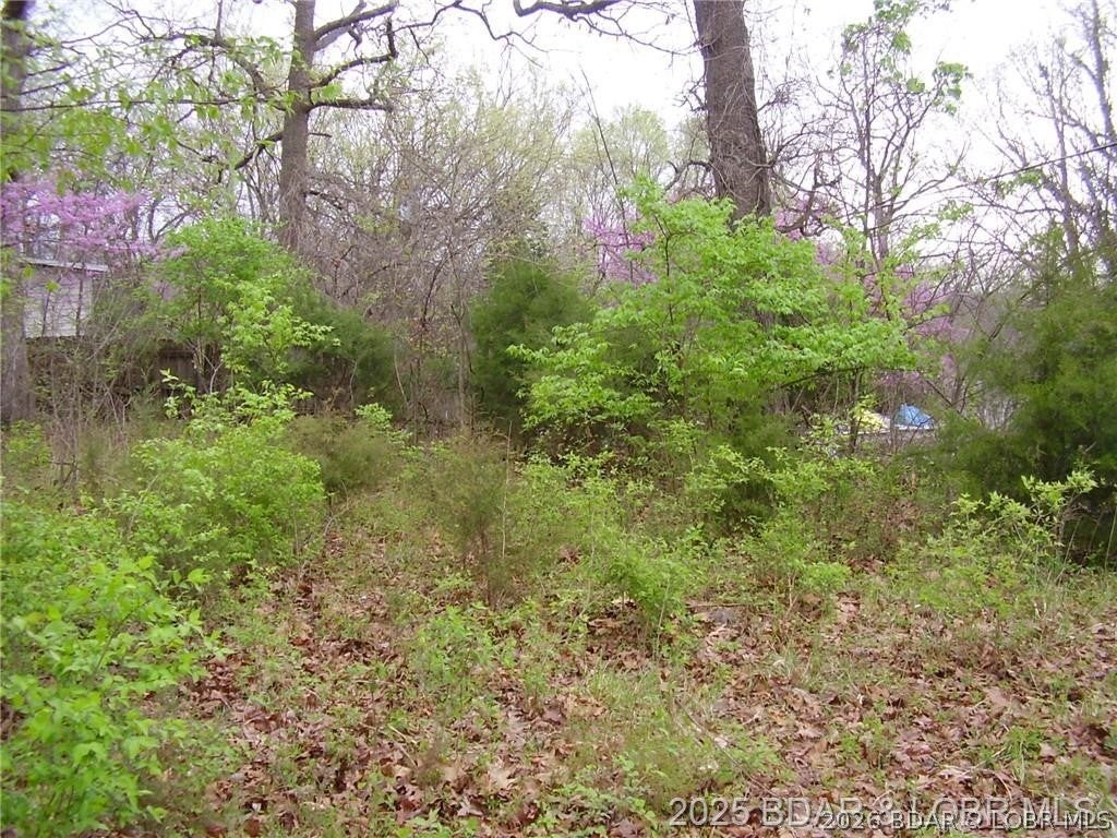 Crestwood Estates Mobile - Land