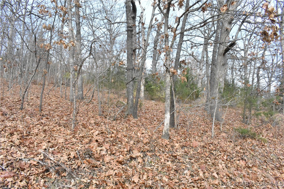 Forest Hills Acres - Land