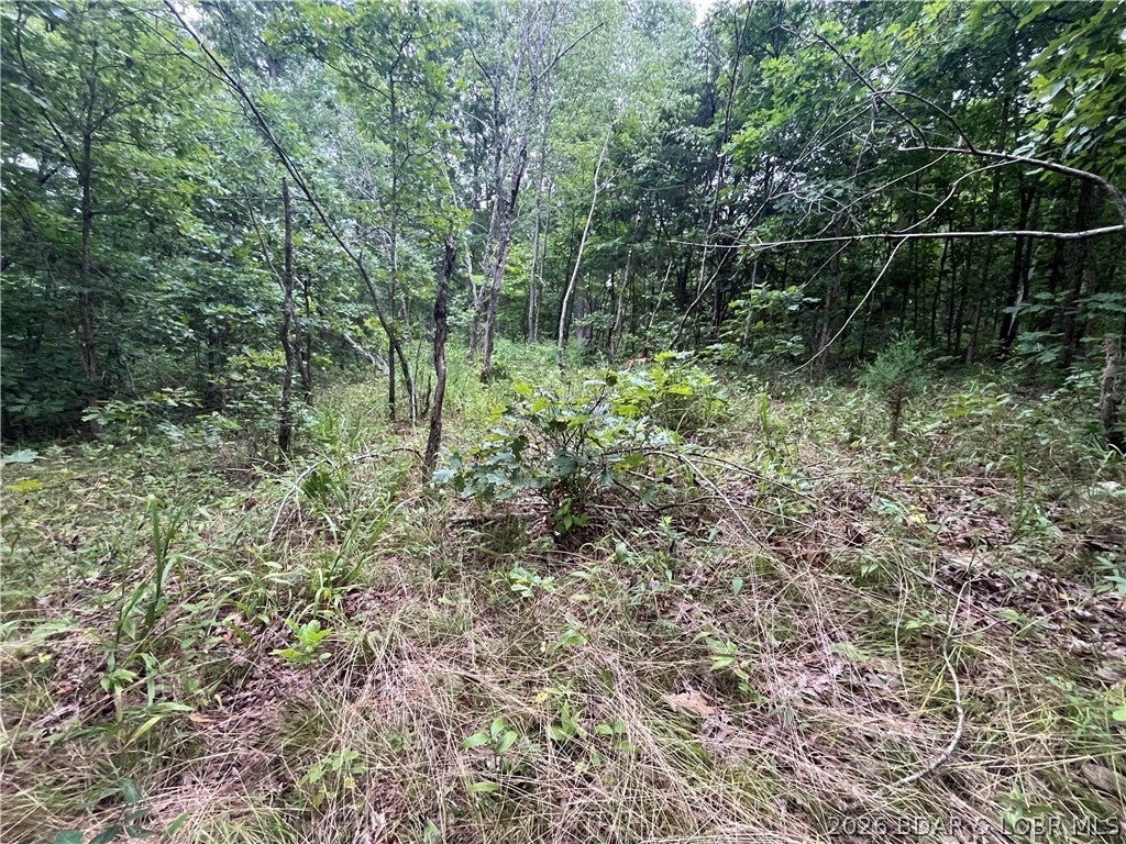 Whispering Oaks - Land