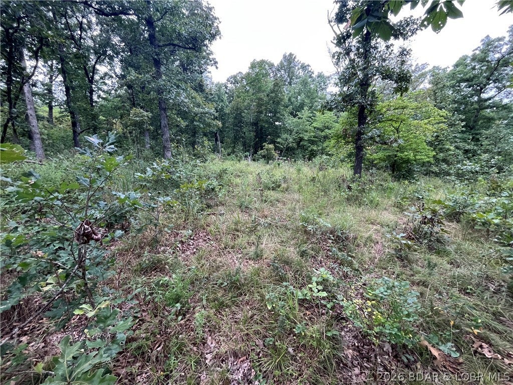 Whispering Oaks - Land