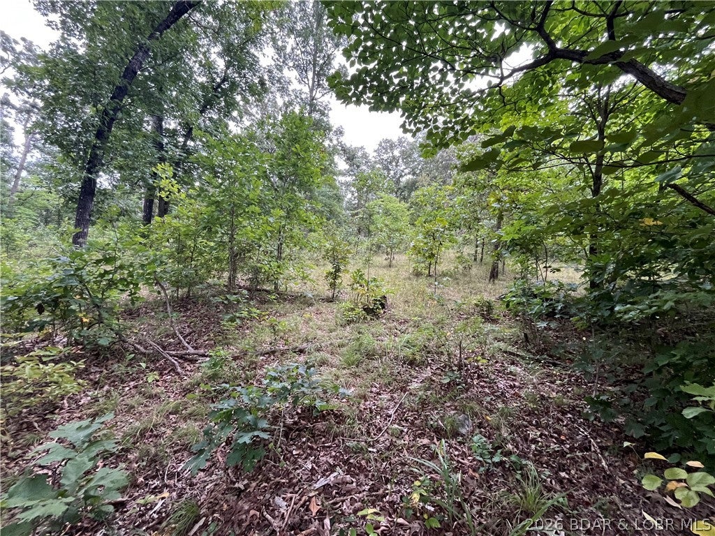 Whispering Oaks - Land