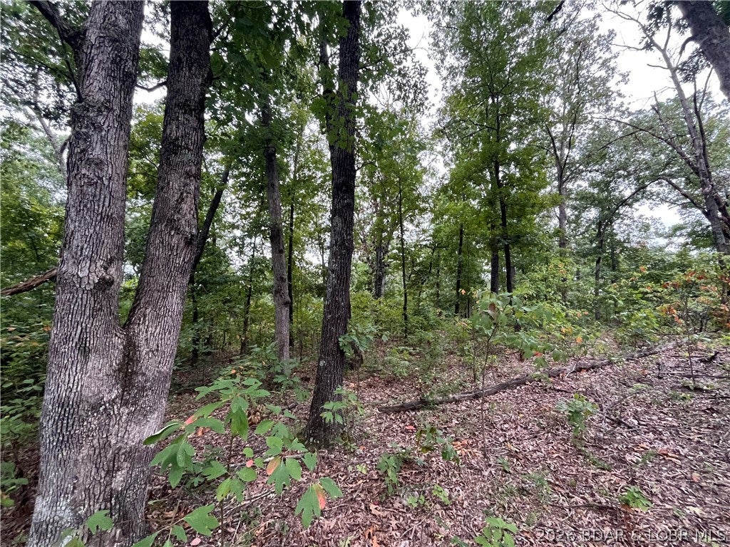Whispering Oaks - Land