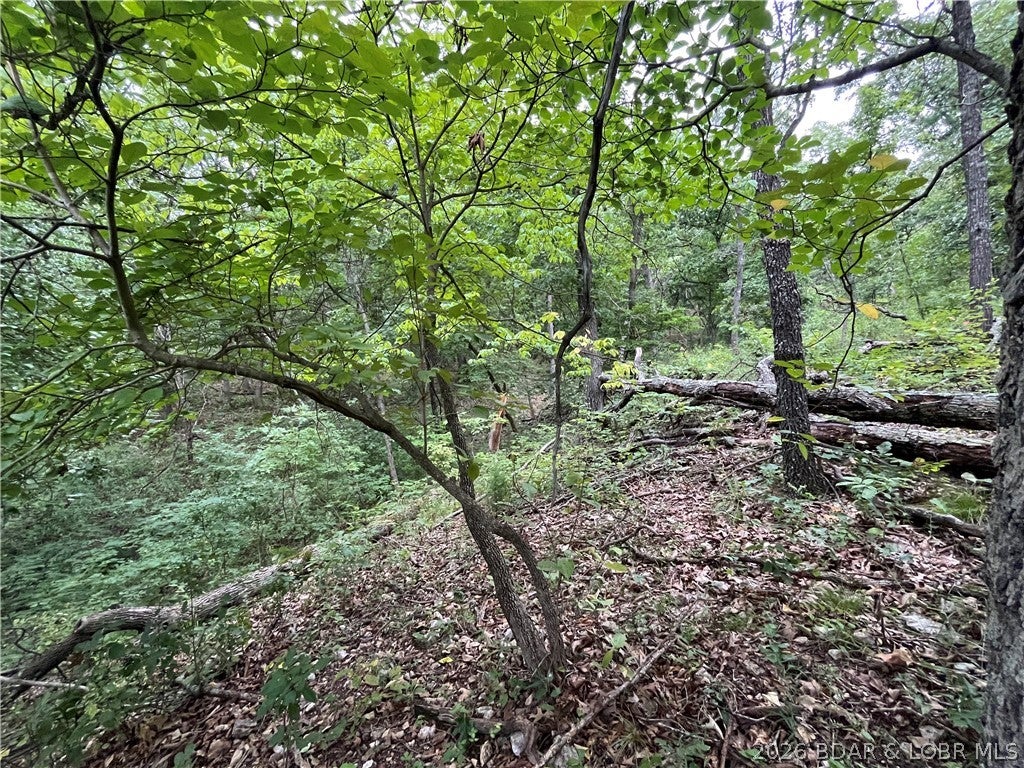 Whispering Oaks - Land