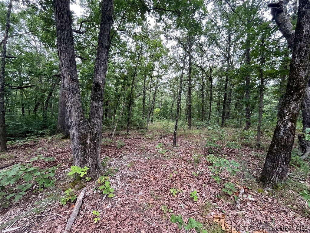 Whispering Oaks - Land