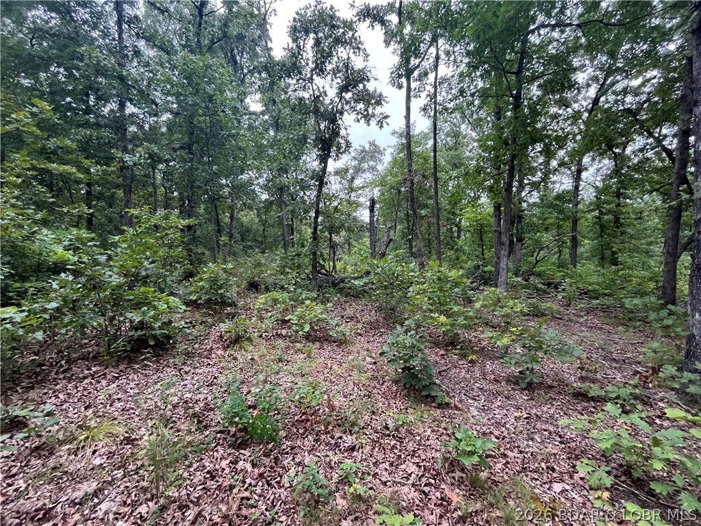 Whispering Oaks - Land