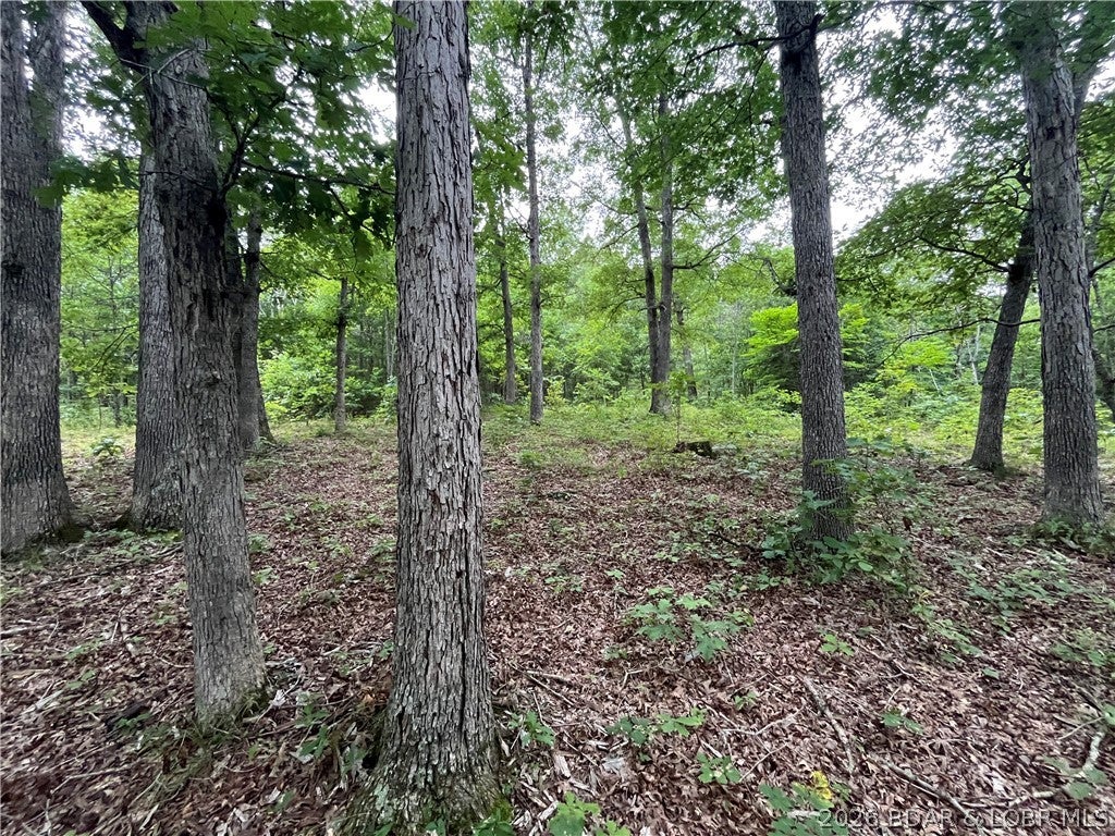 Whispering Oaks - Land