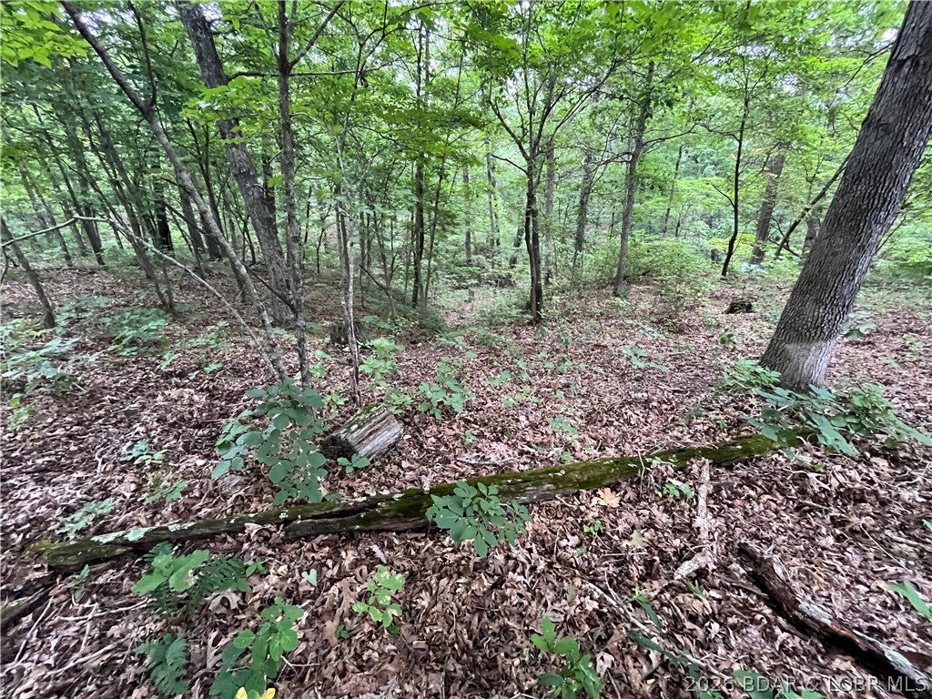 Whispering Oaks - Land