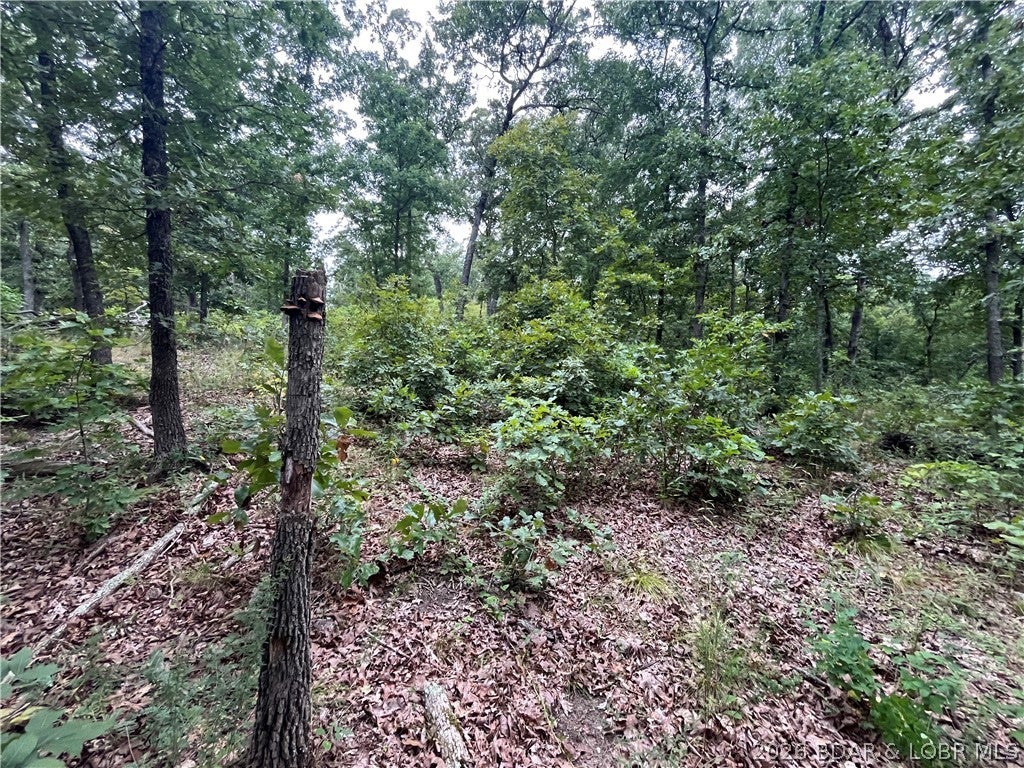 Whispering Oaks - Land