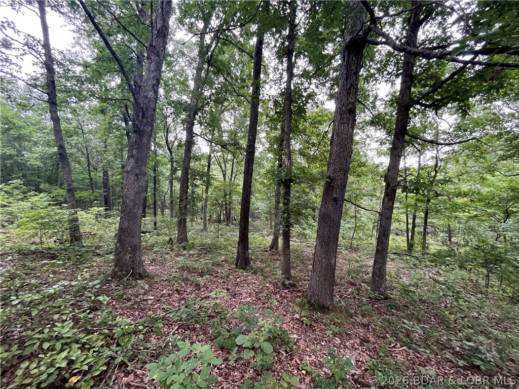 Whispering Oaks - Land