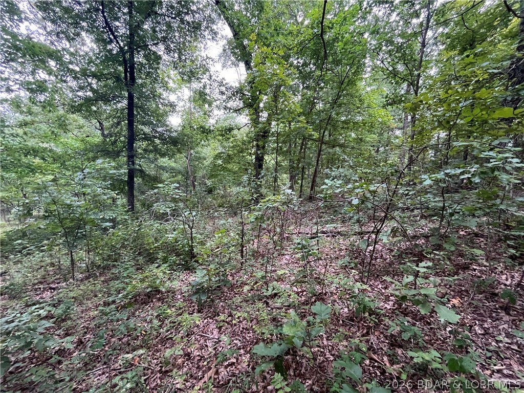 Whispering Oaks - Land