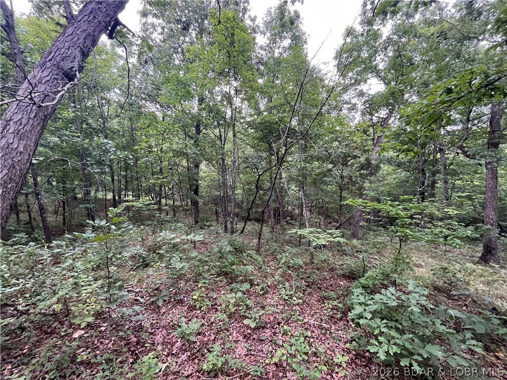 This wooded property has all the beauty of the Ozarks and has no HOAs, covenants or deed restrictions and is conveniently situated between Lake of the Ozarks and Truman Lake, with quick highway access. This property could be used as a base camp to a day on the water, or as a serene location to build your future dream home. Seller says this is good place to hunt deer and turkey. There are several nice building spots with one overlooking the Morris’s Creek.