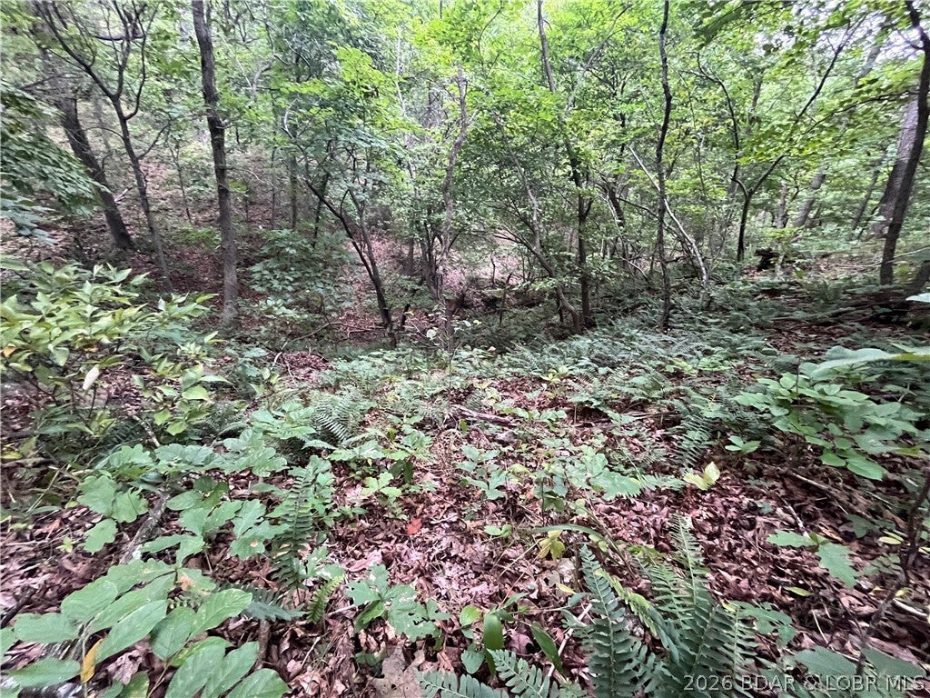 Whispering Oaks - Land