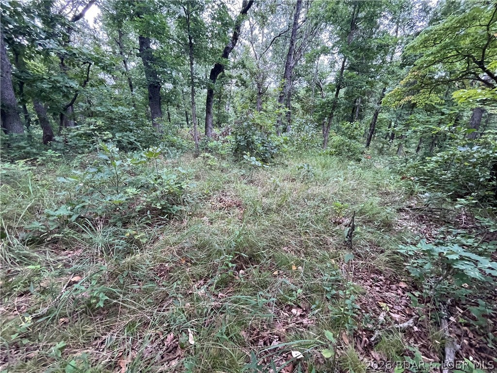 Whispering Oaks - Land