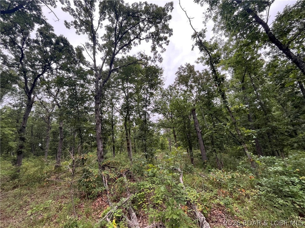 Whispering Oaks - Land