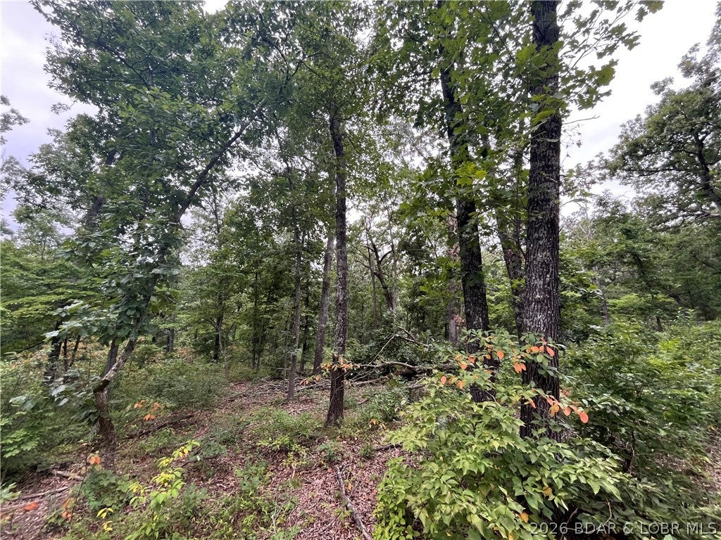 Whispering Oaks - Land