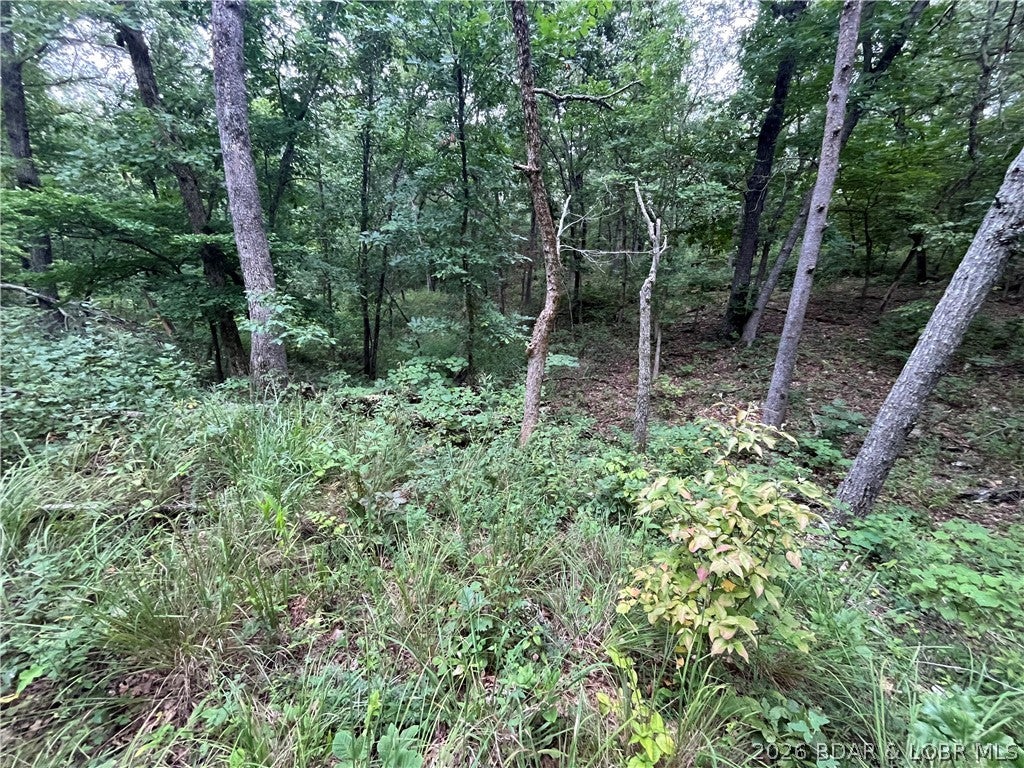 Whispering Oaks - Land