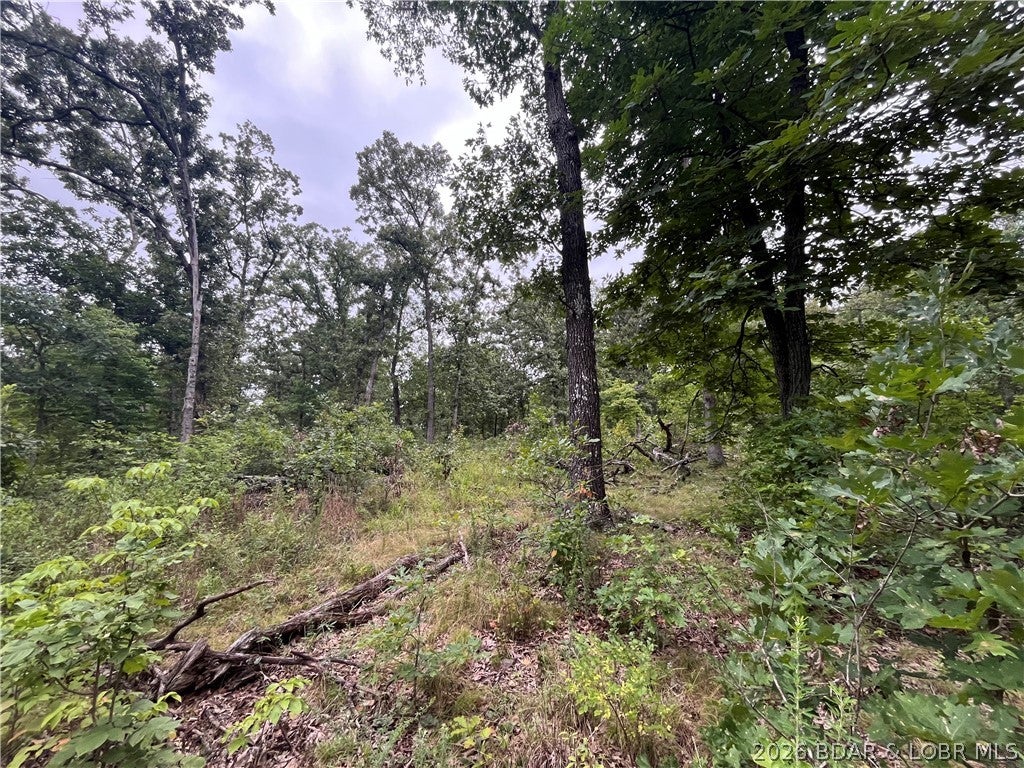 Whispering Oaks - Land