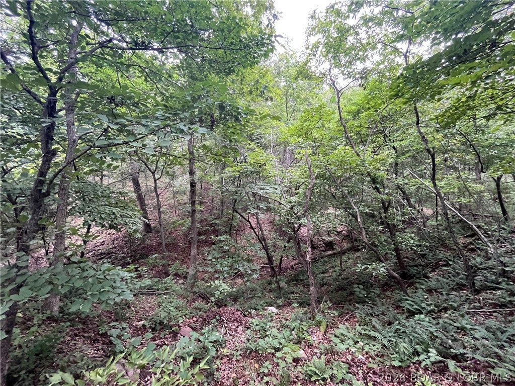 Whispering Oaks - Land
