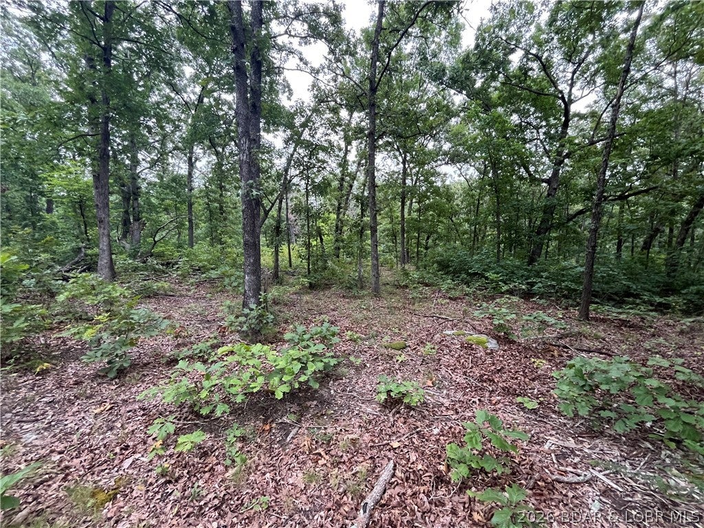 Whispering Oaks - Land