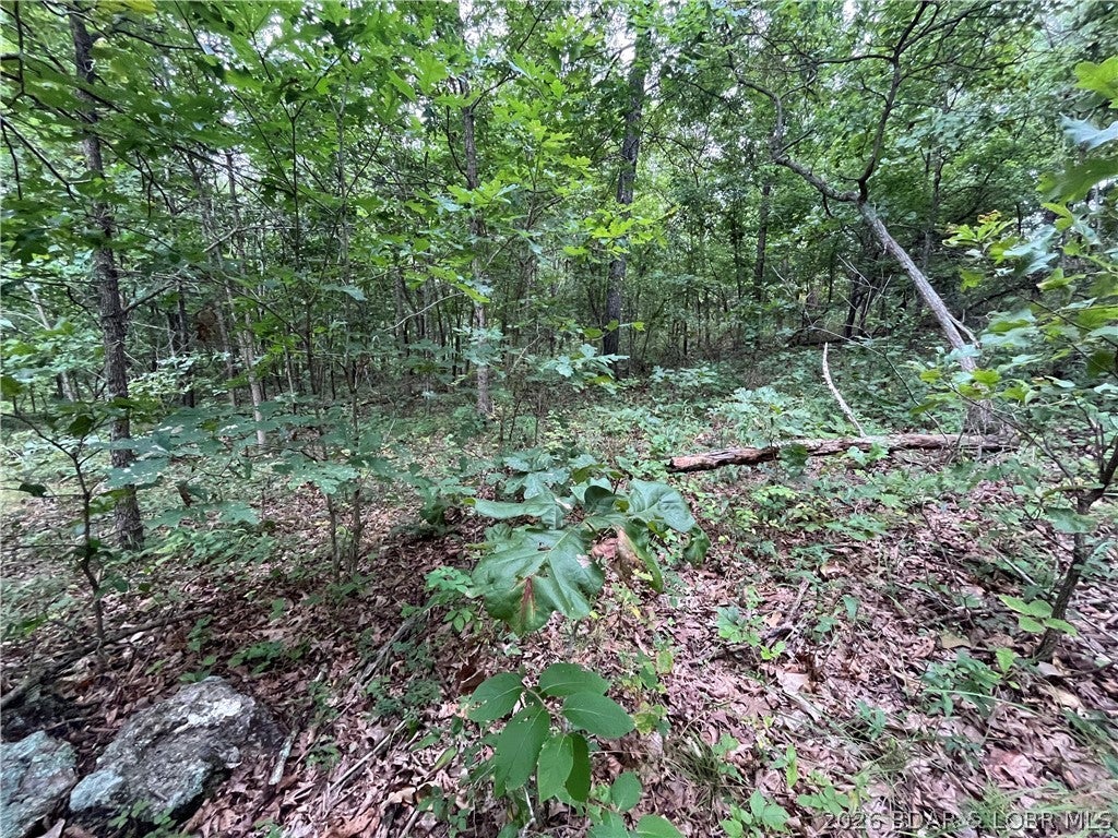 Whispering Oaks - Land