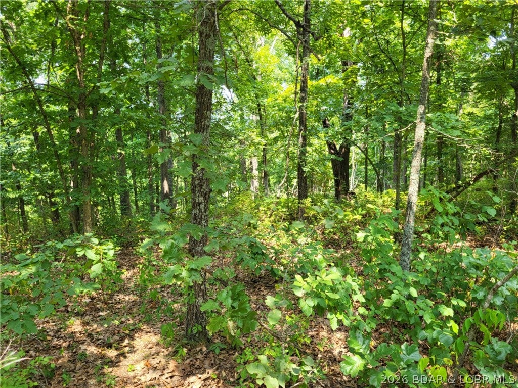 Escape to your own private retreat on this beautiful 3.95-acre wooded property in the secure gated Forbes Lake of the Ozarks Park community near Lake of the Ozarks. Surrounded by mature trees and abundant wildlife, this property offers an ideal setting to build your dream home, weekend cabin, or peaceful getaway. Enjoy convenient access to Lake of the Ozarks with three community boat ramps, plus three stocked interior lakes perfect for kayaking, canoeing, fishing, or simply enjoying the outdoors. Additional amenities include a community RV park and a clubhouse for gatherings and events. Deer, turkey, and native wildlife are frequent visitors, adding to the natural appeal. If you're looking for privacy, recreation, and a true connection to nature—with community amenities close at hand—this property is ready for your next adventure!