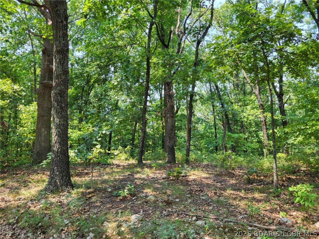 Forbes Lake of the Ozarks - Land