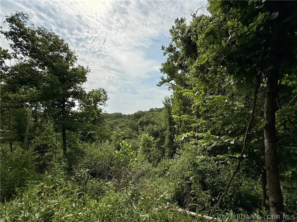 Ozark Hills - Land