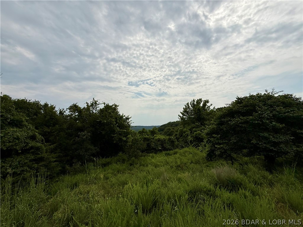 Rare opportunity to own 2.07 acres consisting of two combined lots in Eagles Landing at the Lake of the Ozarks! This beautiful property offers the flexibility to build your dream home, create a peaceful vacation getaway, or establish the perfect camping or RV retreat. The wooded setting provides privacy while offering plenty of space to design your ideal homesite. Enjoy lake season, summer weekends, and relaxing evenings just minutes from the water. Conveniently located near the 65 MM on the Osage Arm, you'll be close to popular waterfront destinations including Bottoms Up, Patriot Point, and The Wet Spot. Boating access is just minutes away at the Brown Bend Public Access Boat Ramp, and the Ozark Hills POA community dock features 4 boat slips and 2 PWC slips. Whether you're looking to build a full-time residence, create the perfect weekend getaway, or invest in a future lake property, this versatile acreage offers endless possibilities in a desirable lake-area community.