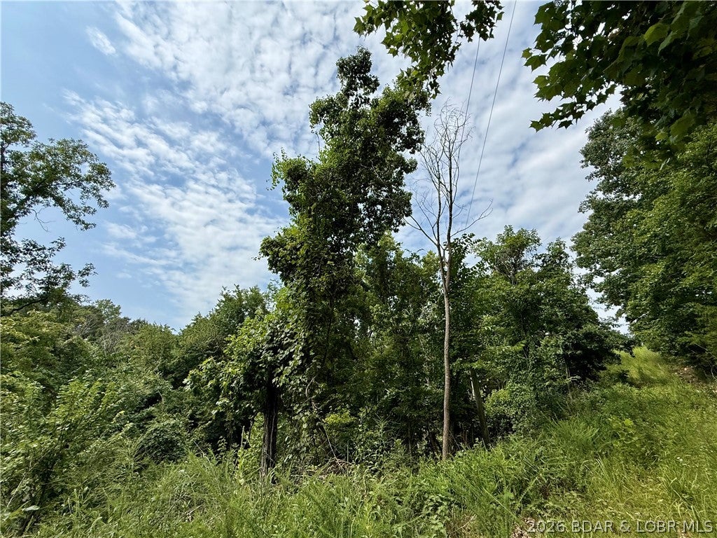Ozark Hills - Land