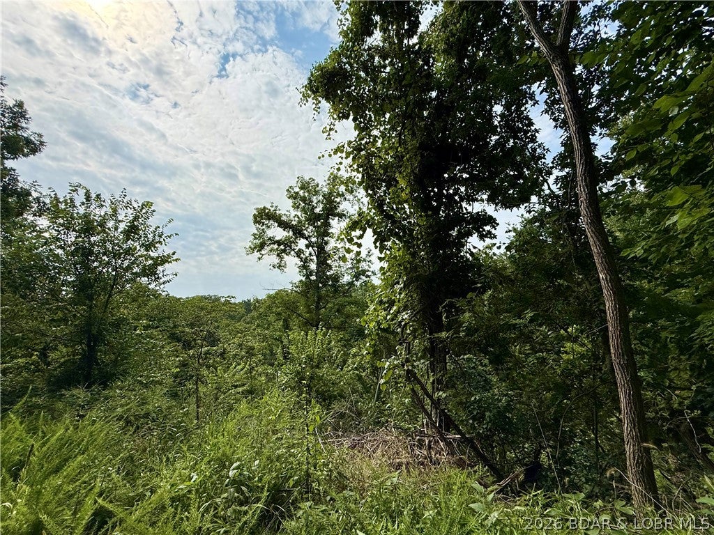 Ozark Hills - Land