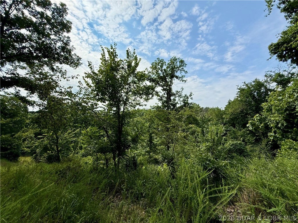 Ozark Hills - Land