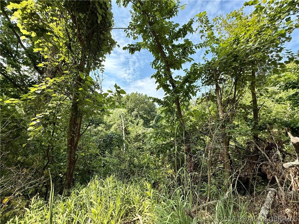 Ozark Hills - Land