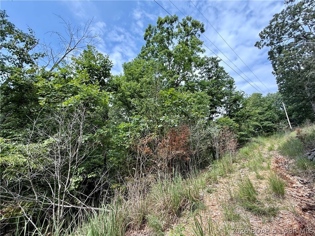 Ozark Hills - Land