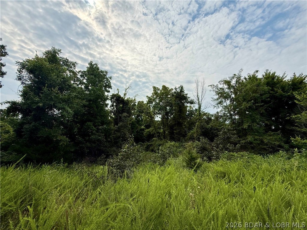 Ozark Hills - Land