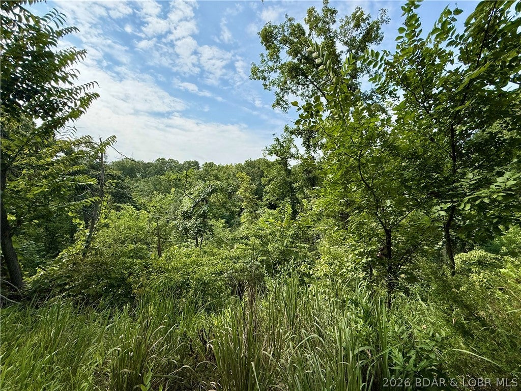 Ozark Hills - Land