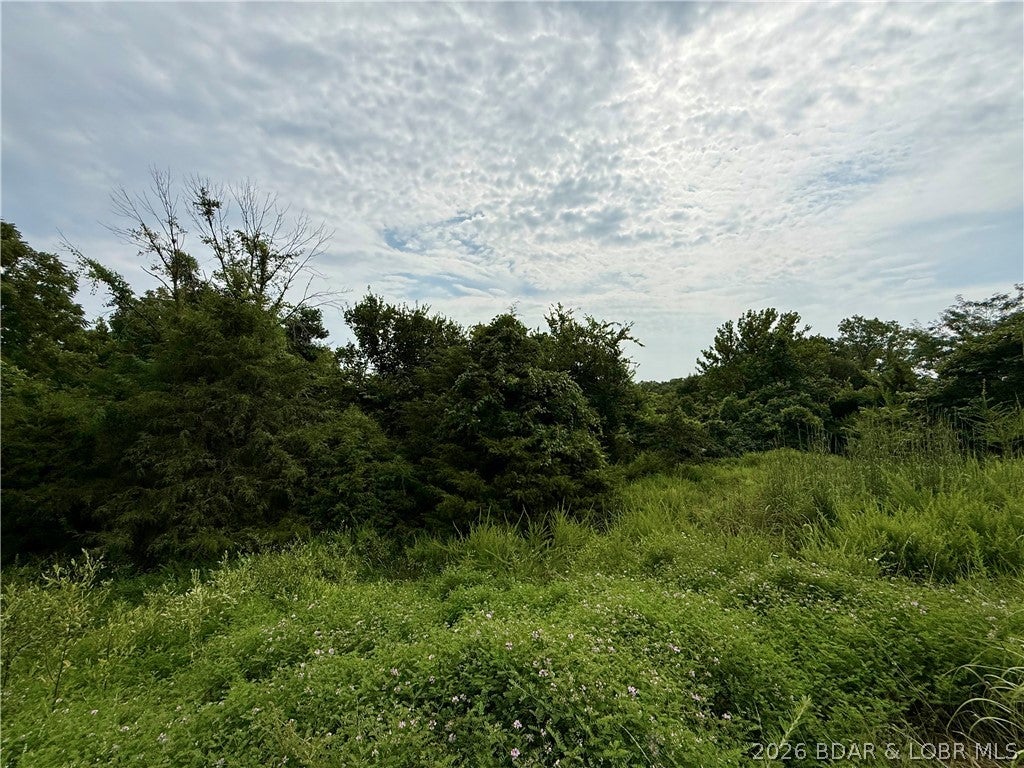 Ozark Hills - Land
