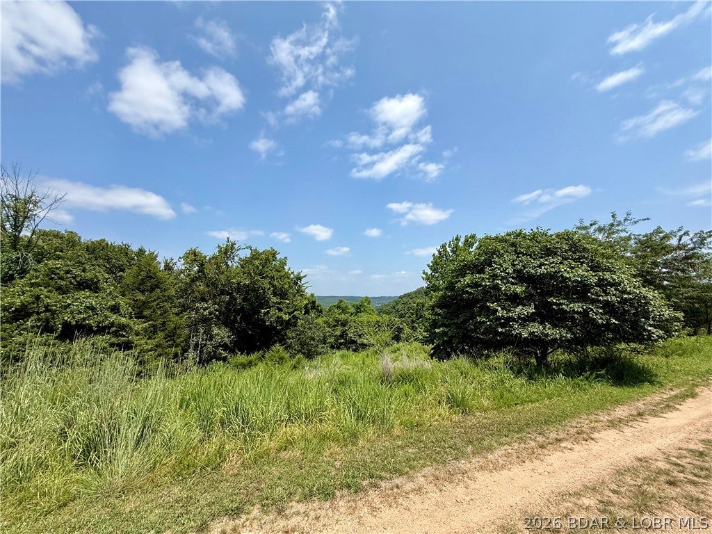 Ozark Hills - Land