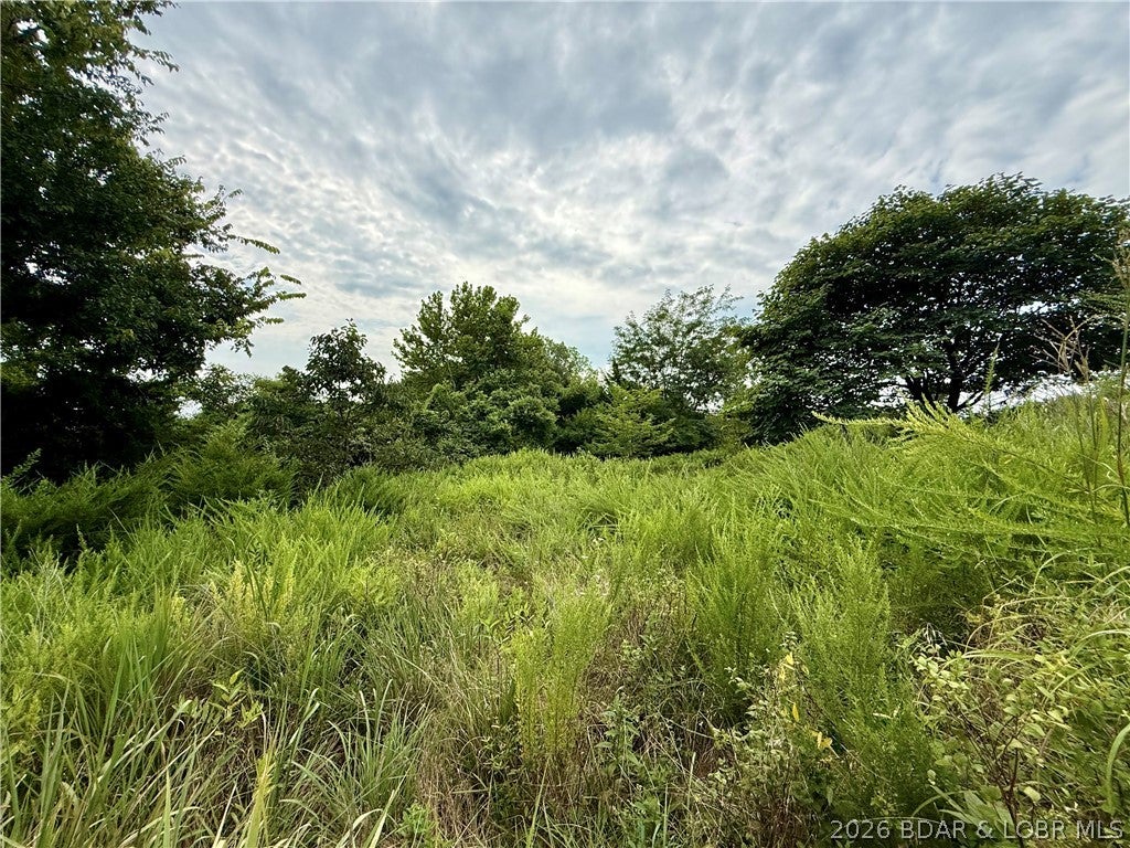 Ozark Hills - Land