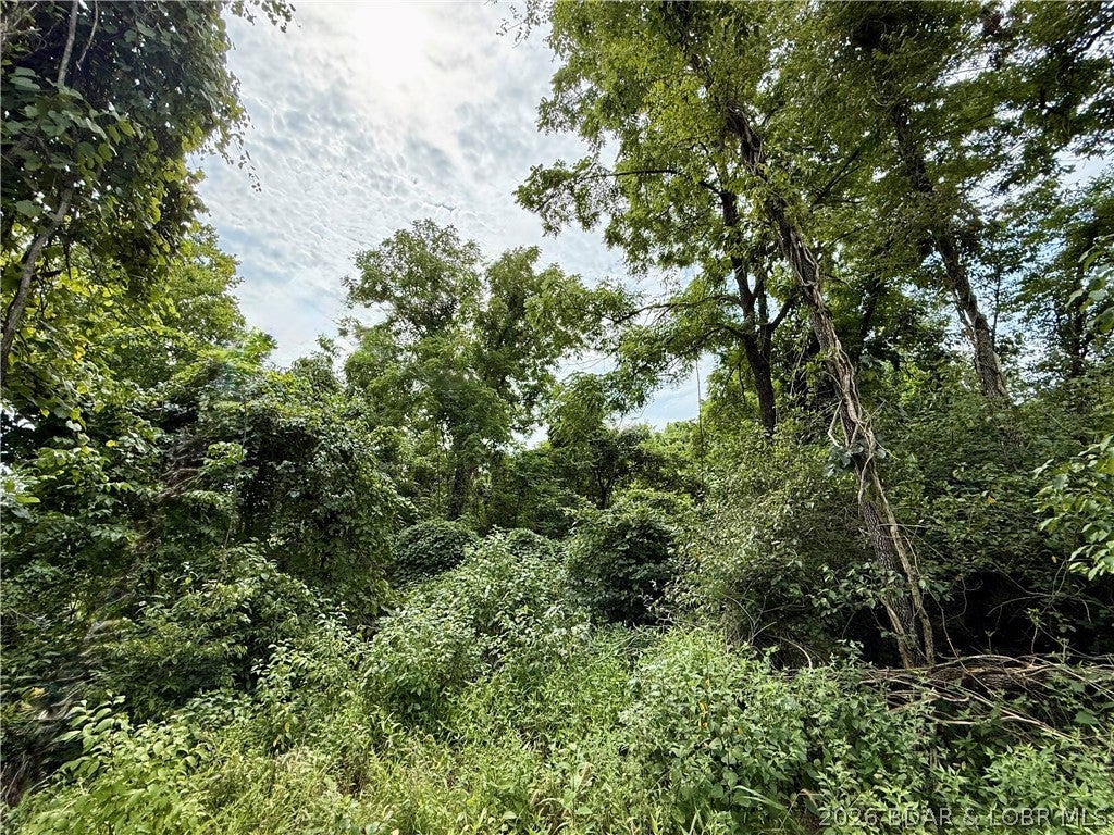 Ozark Hills - Land