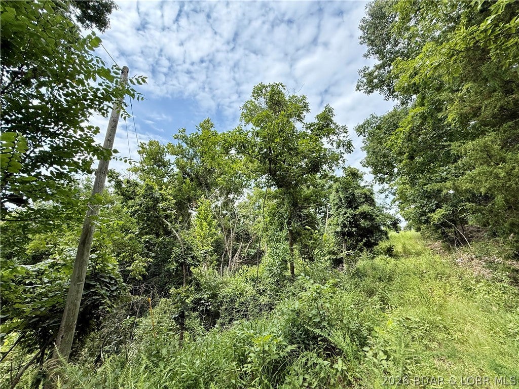 Ozark Hills - Land