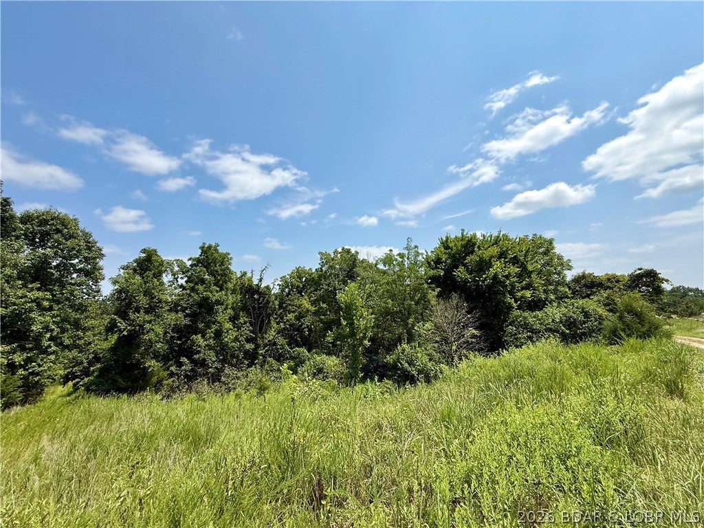 Ozark Hills - Land
