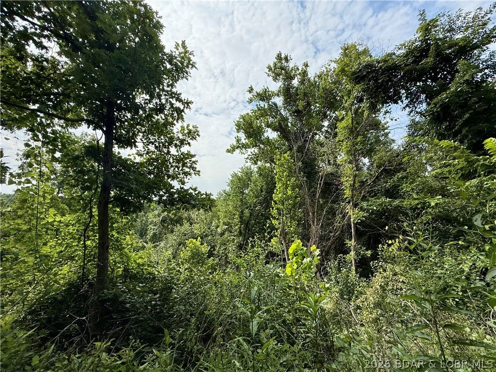 Ozark Hills - Land