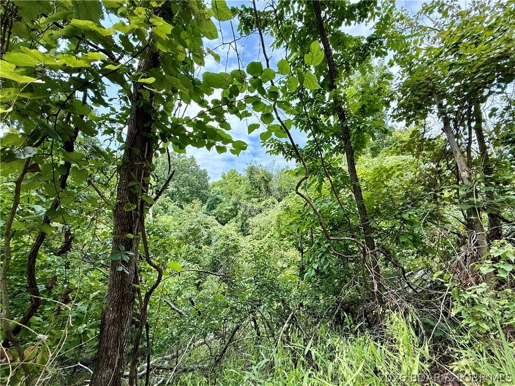 Ozark Hills - Land
