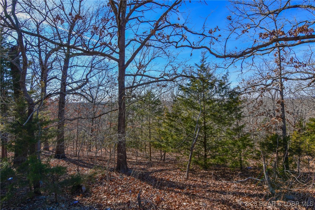 Excellent building lot in Camelot Estates at the beautiful Lake of the Ozarks! This property offers the perfect setting to build your dream home or next investment project, with water, sewer, and electric available. Enjoy lake access to a large nearby marina, with boat slips available for lease or purchase. Camelot Estates features an impressive list of community amenities, including two swimming pools, two clubhouses, a boat ramp, fishing dock, tennis courts, campground, and horse stables. Conveniently located near popular restaurants accessible by land or water, as well as area shopping and medical facilities. The community is served by the highly regarded Camdenton School District. Motivated seller—bring an offer! Whether you’re looking to build and enjoy or build and sell, this is a fantastic opportunity in a sought-after Lake of the Ozarks community.