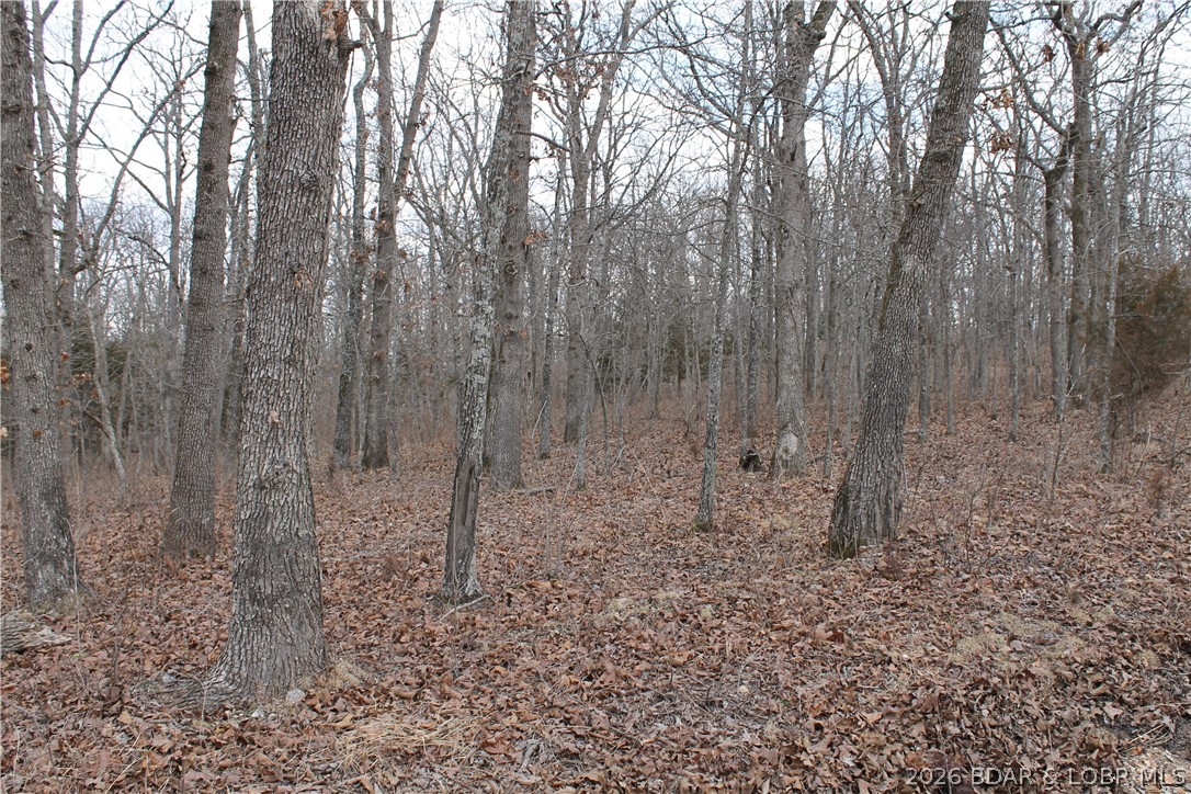 This ideal-sized lot is ready for your dream home or the perfect weekend getaway. Nestled within the peaceful serenity of the gated Forbes Lake of the Ozarks community, you’ll enjoy abundant deer, turkey, and other wildlife right outside your door. Forbes offers an impressive list of amenities including 3 interior lakes, 3 boat ramps with access to the calmer side of Lake of the Ozarks, tennis court, RV park, day docks, and so much more. Whether you’re looking for relaxation, recreation, or both—You’ve found the perfect place!