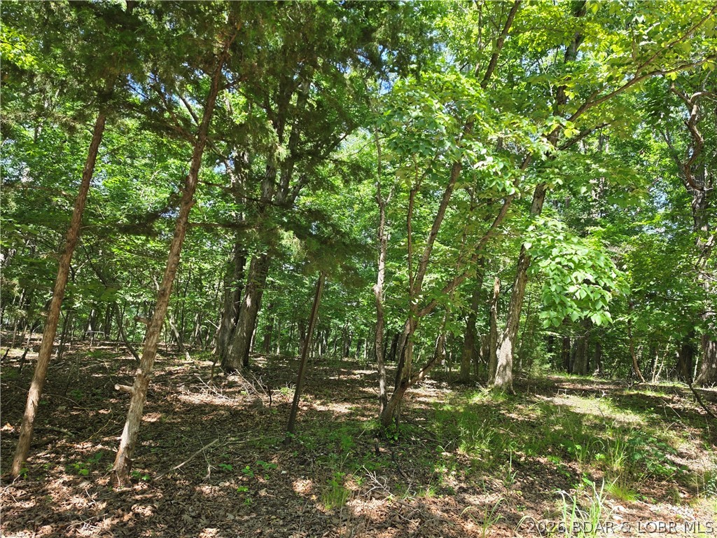 Shady Springs - Land